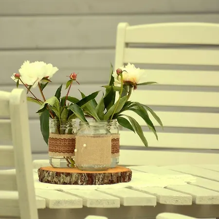 Vinni Hostel * Vinni