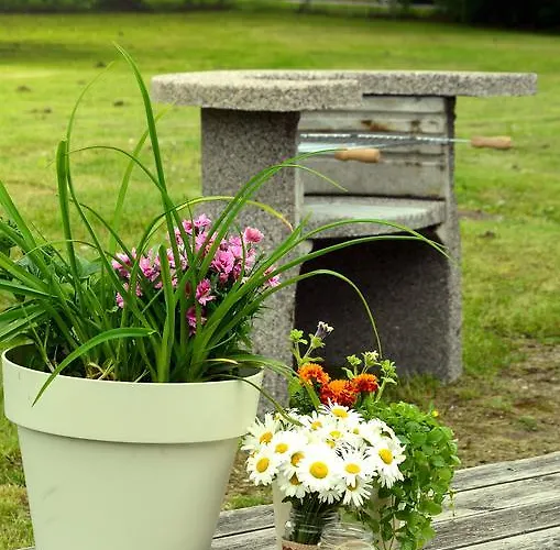 Vinni Hostel Hostel *